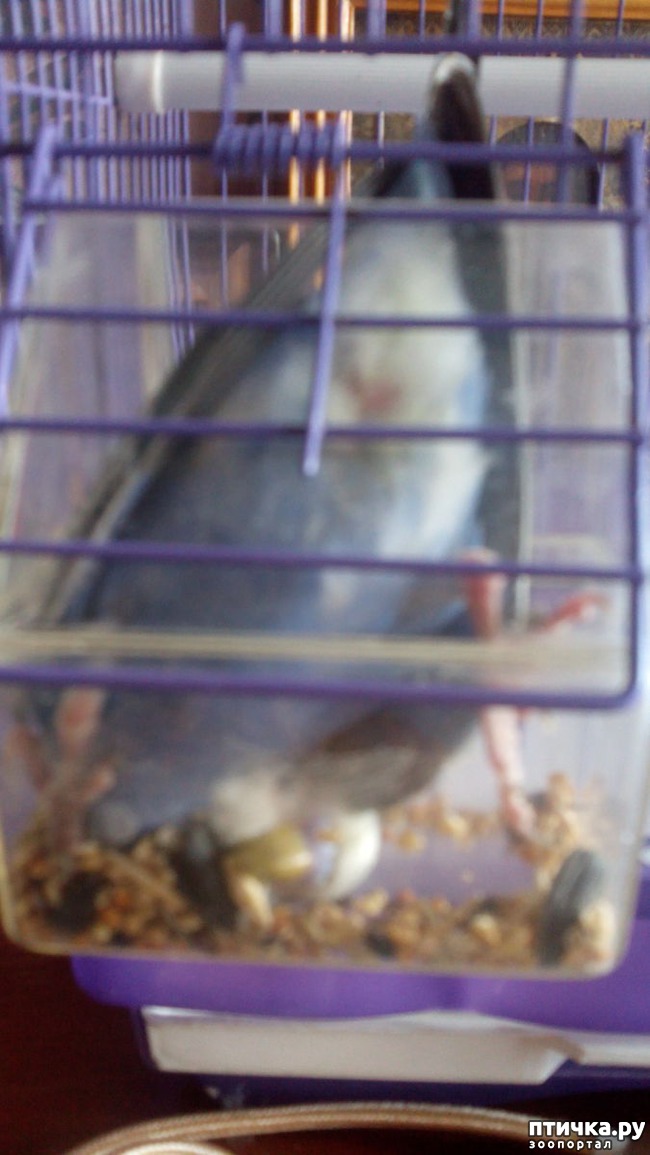 ���� 4: ��������� ����������: ��� � ��������