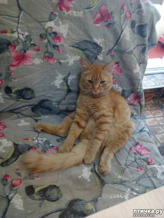 ���� 3: ����� ������, �������� ��������)