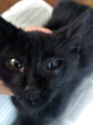 фотография: Лечим глазки фото: Лечим глазки