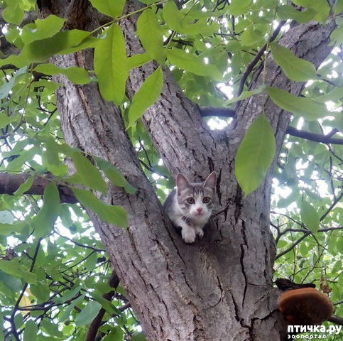 ���� 2: ������� ��� ������-�����������