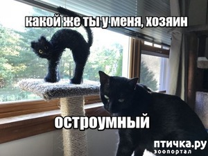 ����: ������� ����. �������� � ��������.