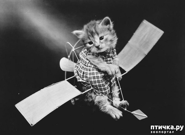 ���� 2: ���������� ���������������� ���������