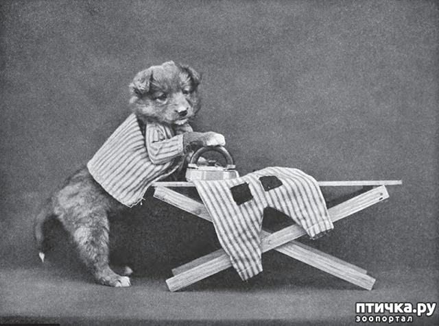 ���� 3: ���������� ���������������� ���������