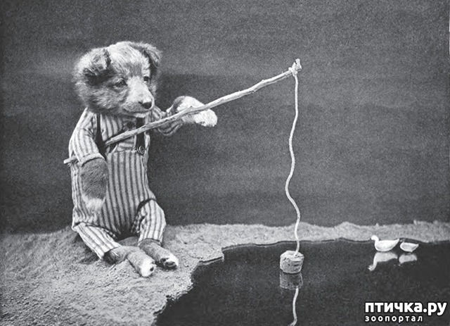 ���� 6: ���������� ���������������� ���������