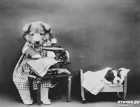 ���� 7: ���������� ���������������� ���������