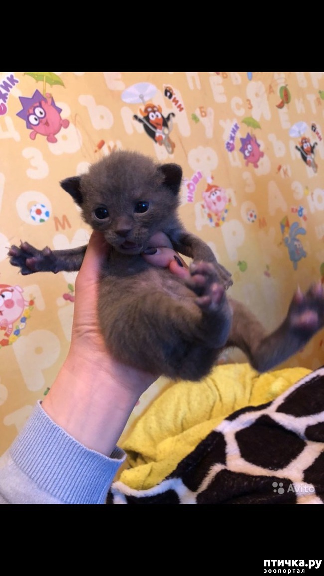 ���� 1: ���� ������������!