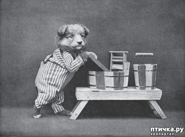 ���� 10: ���������� ���������������� ���������