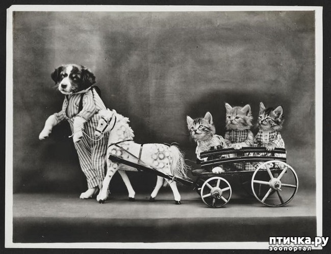 ���� 12: ���������� ���������������� ���������