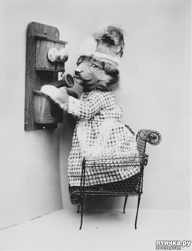 ���� 14: ���������� ���������������� ���������