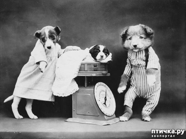 ���� 16: ���������� ���������������� ���������