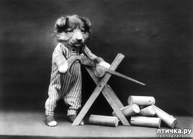 ���� 17: ���������� ���������������� ���������