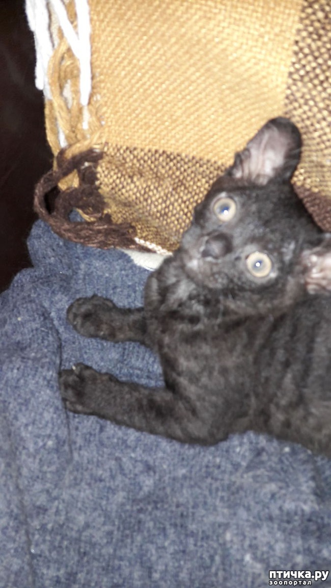 ���� 3: ���� ������������!