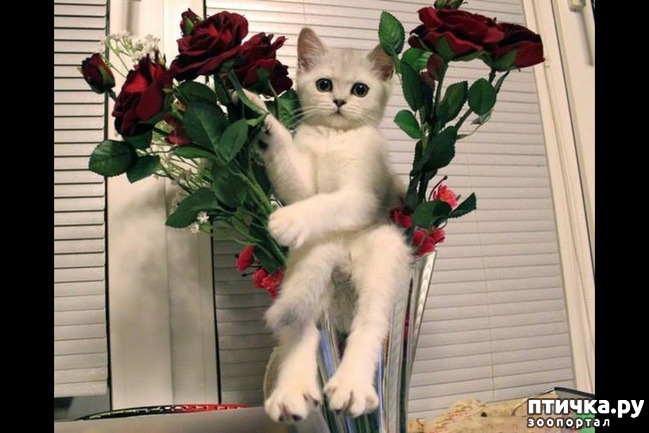 ���� 2: �����������: ����� � ��������.