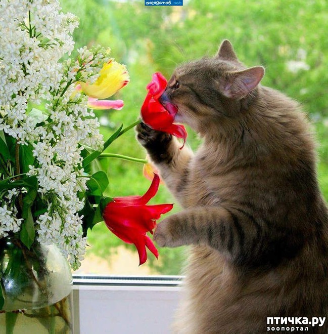 ���� 6: �����������: ����� � ��������.