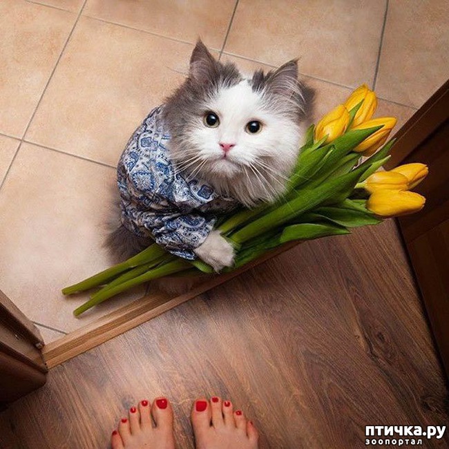 ���� 7: �����������: ����� � ��������.