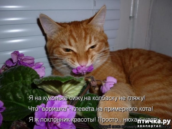 ���� 8: �����������: ����� � ��������.