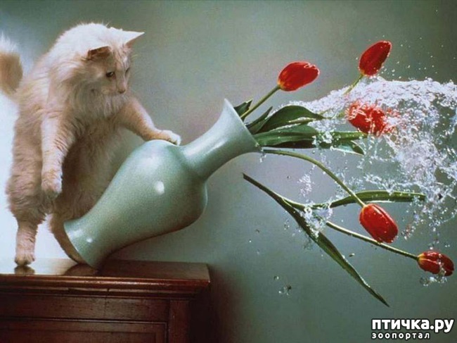 ���� 10: �����������: ����� � ��������.