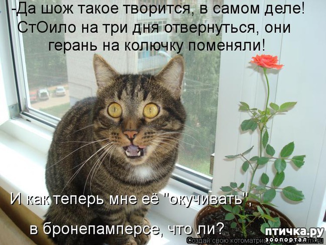 ���� 12: �����������: ����� � ��������.