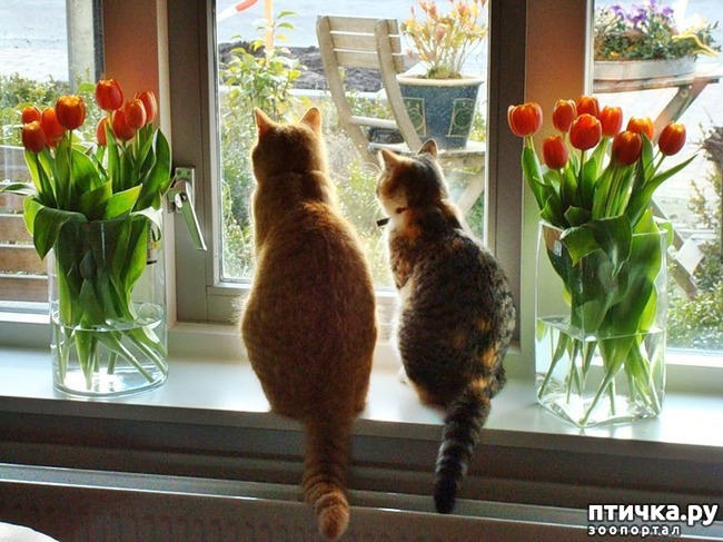 ���� 14: �����������: ����� � ��������.