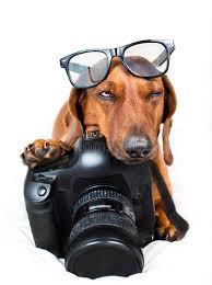 ���� 19: ���������� ���������������� ���������