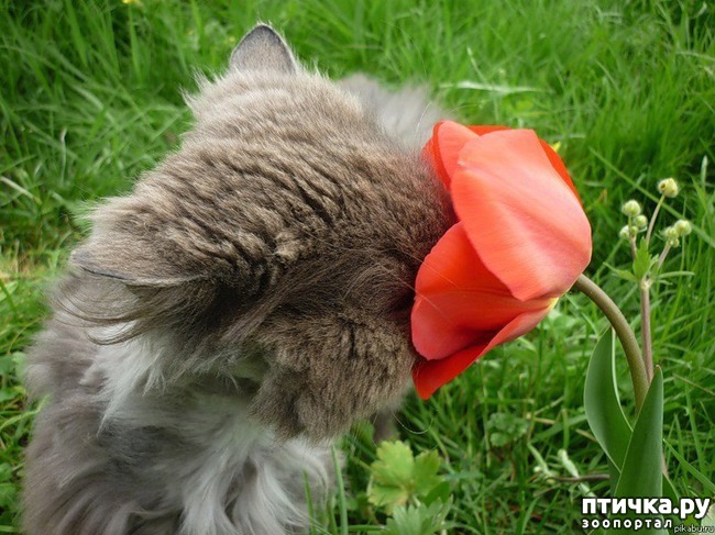 ���� 15: �����������: ����� � ��������.