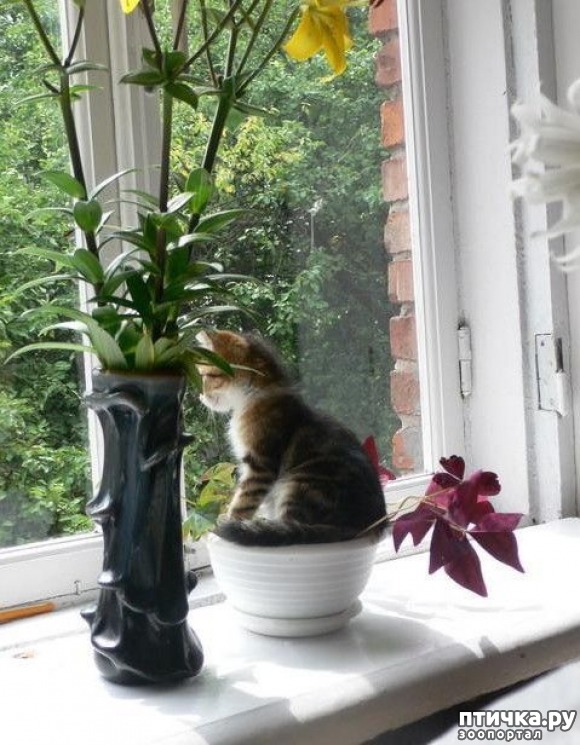 ���� 16: �����������: ����� � ��������.