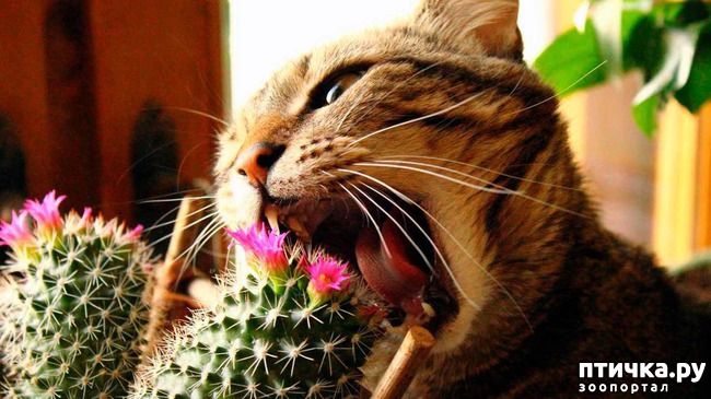 ���� 17: �����������: ����� � ��������.