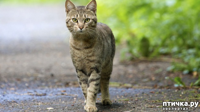 ���� 1: ��� ����� �����