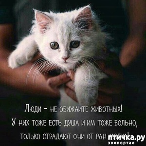 ����: �� ������!