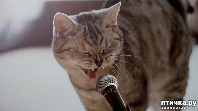 ���� 1: ����� ����� - ��� ������ (�. �����)