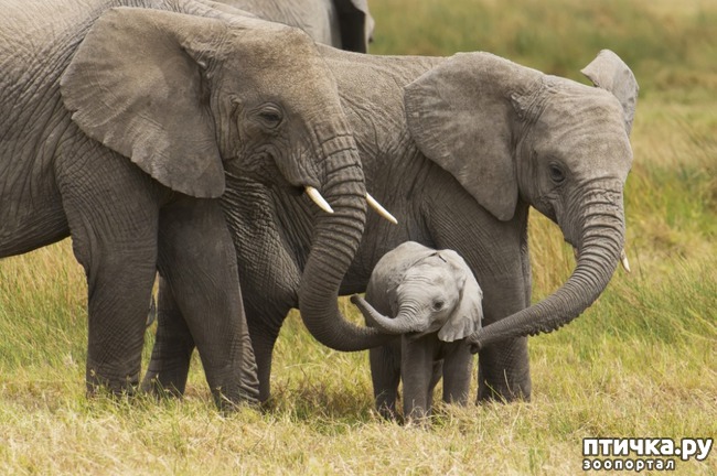 ���� 1: ������� � ����� ����� ��������