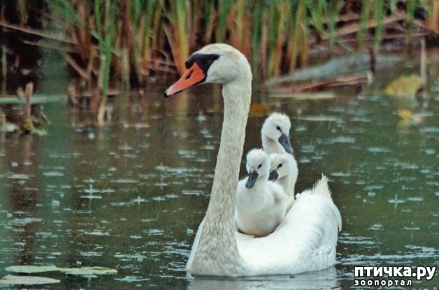 ���� 3: ������� � ����� ����� ��������