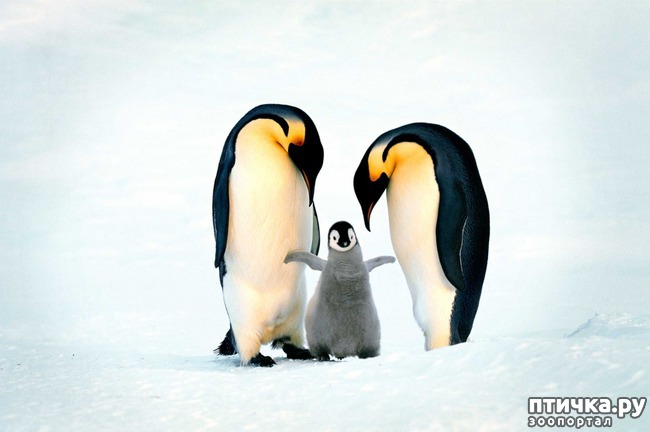 ���� 4: ������� � ����� ����� ��������