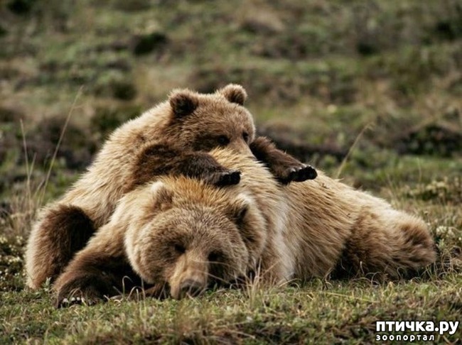 ���� 7: ������� � ����� ����� ��������