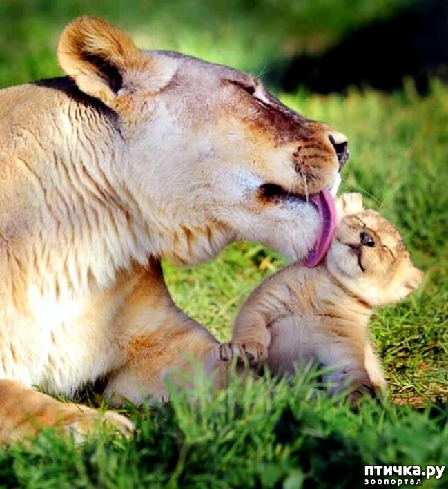 ���� 9: ������� � ����� ����� ��������