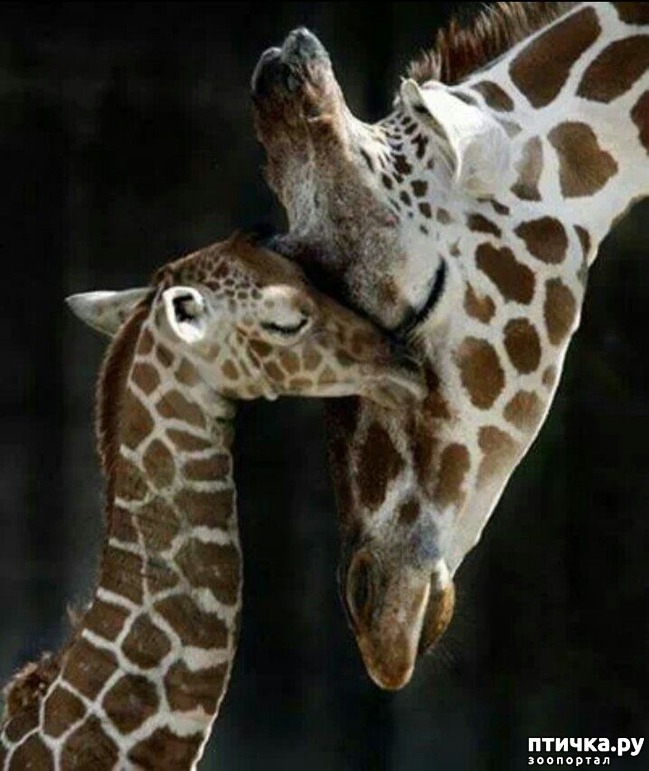 ���� 11: ������� � ����� ����� ��������