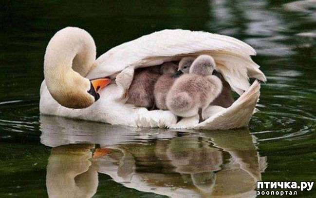 ���� 12: ������� � ����� ����� ��������