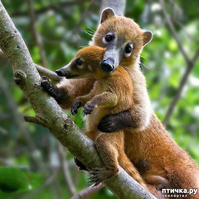 ���� 14: ������� � ����� ����� ��������