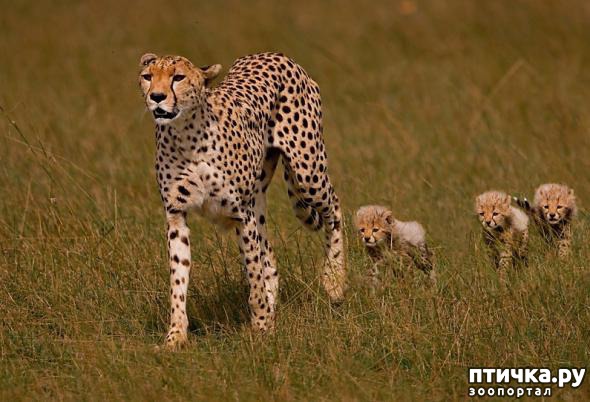 ���� 17: ������� � ����� ����� ��������