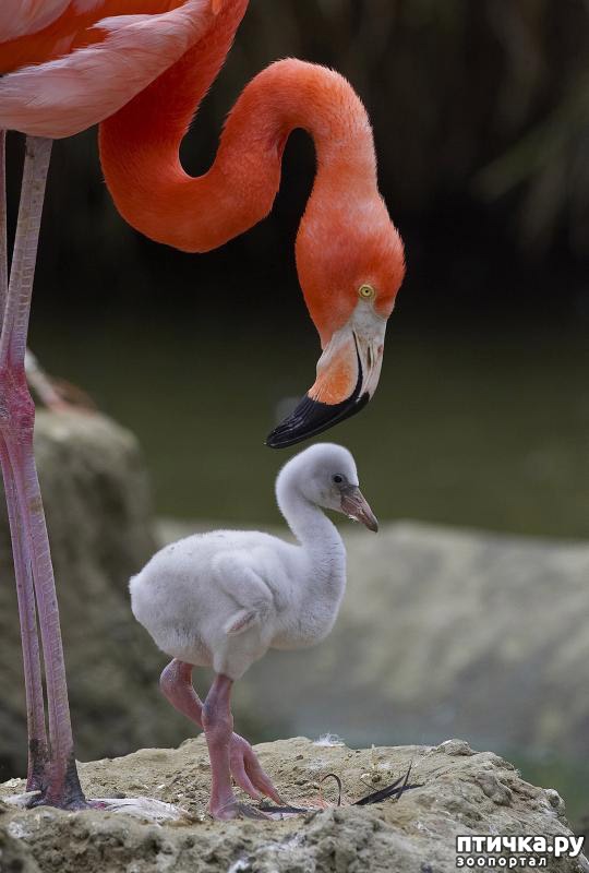 ���� 18: ������� � ����� ����� ��������