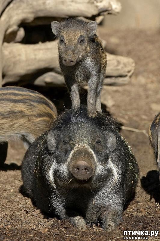 ���� 19: ������� � ����� ����� ��������