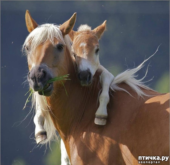 ���� 1: ������� � ����� �������� ��������