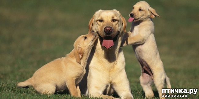 ���� 2: ������� � ����� �������� ��������