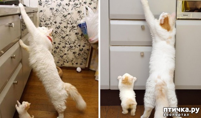 ���� 3: ������� � ����� �������� ��������