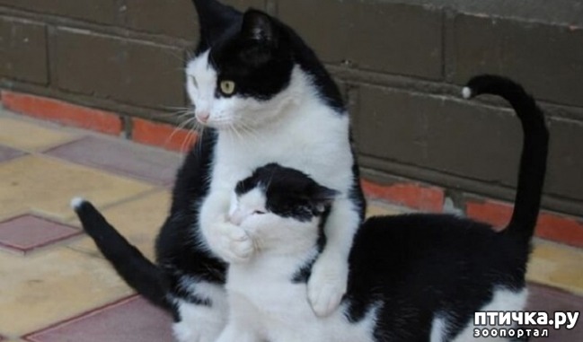 ���� 4: ������� � ����� �������� ��������