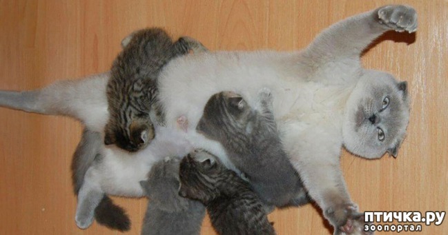 ���� 5: ������� � ����� �������� ��������