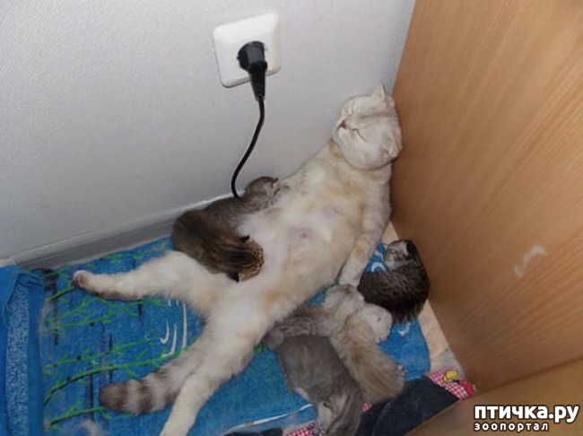 ���� 6: ������� � ����� �������� ��������