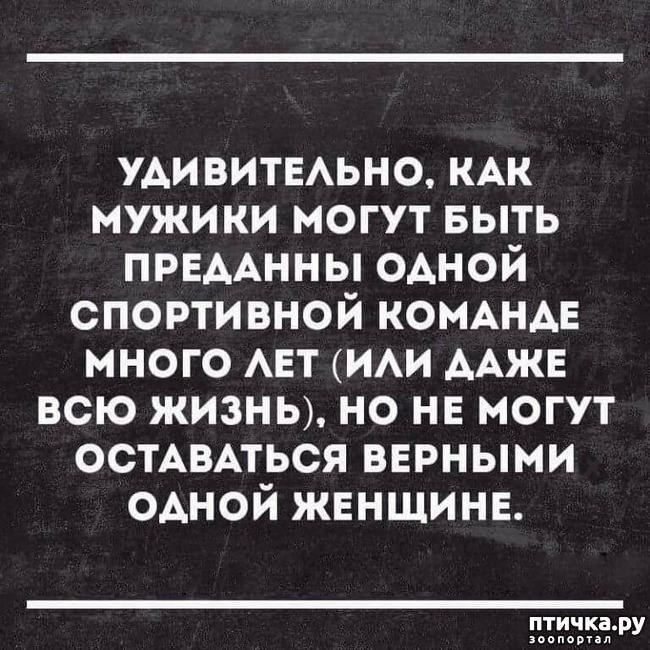 ���� 2: �����! �� ������� �� �������!)))