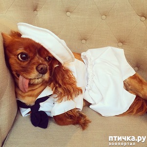 ����: �����! �� ������� �� �������!)))