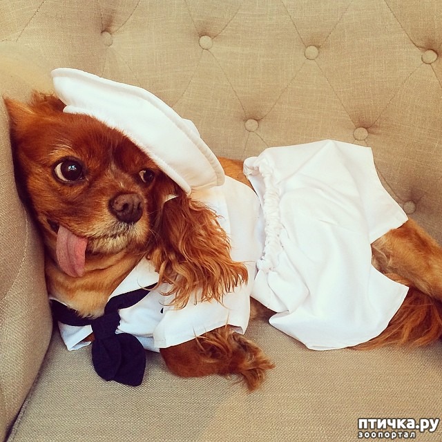 ���� 1: �����! �� ������� �� �������!)))